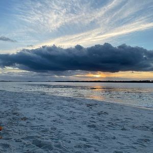 Meet your Posher, Lacee